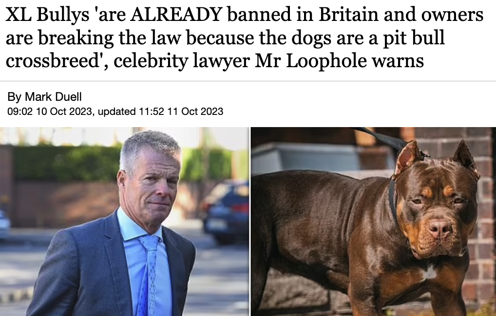 Nick Freeman Clarifies: American XL Bully Dogs Already Fall Under UK’s Dangerous Dogs Act